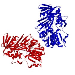 Image of CATH 5miu