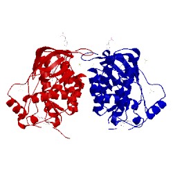 Image of CATH 5mjb