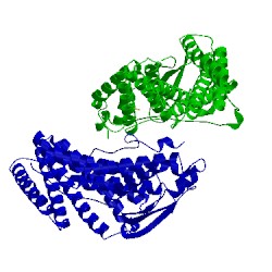 Image of CATH 5mk0
