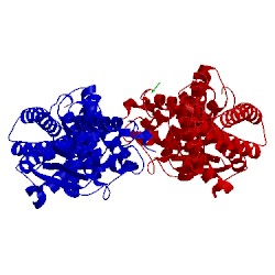 Image of CATH 5mk2