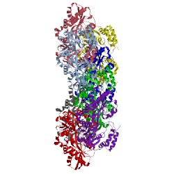 Image of CATH 5mkb