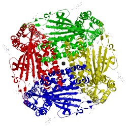 Image of CATH 5mkf