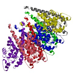 Image of CATH 5mlf