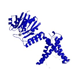 Image of CATH 5mlz