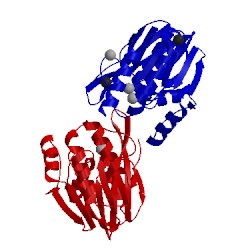 Image of CATH 5mmd