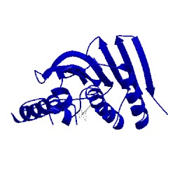 Image of CATH 5mmp