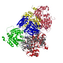 Image of CATH 5mms