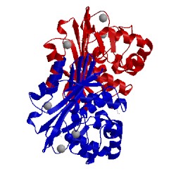Image of CATH 5mnu