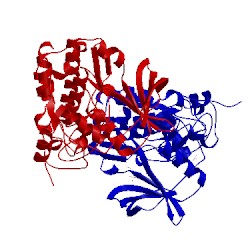Image of CATH 5mo5