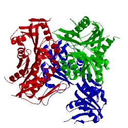 Image of CATH 5mp7