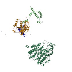 Image of CATH 5mpd