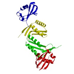 Image of CATH 5mpo