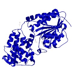 Image of CATH 5mpt