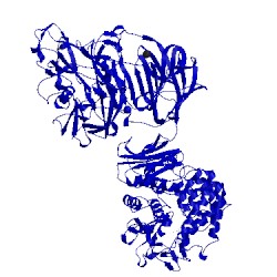 Image of CATH 5mqs