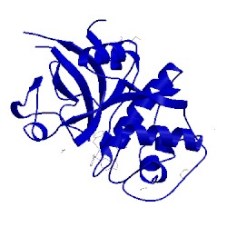 Image of CATH 5mqy