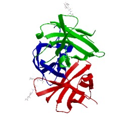 Image of CATH 5mr2