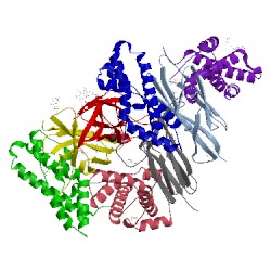 Image of CATH 5mr3