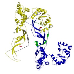 Image of CATH 5msm