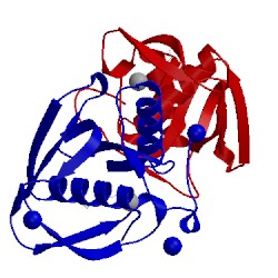 Image of CATH 5mtd