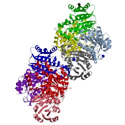 Image of CATH 5mtp