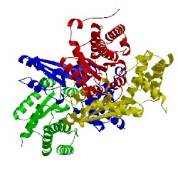 Image of CATH 5mv0
