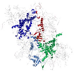 Image of CATH 5mx2