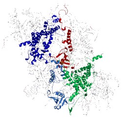 Image of CATH 5mx2