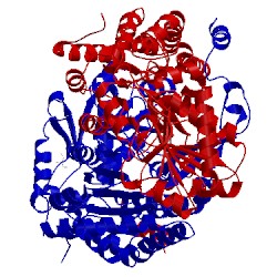 Image of CATH 5myp