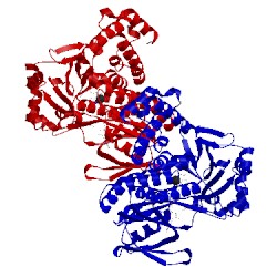 Image of CATH 5mzc