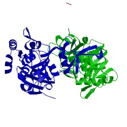Image of CATH 5n02