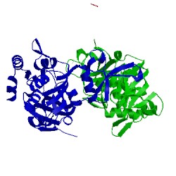 Image of CATH 5n03