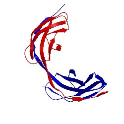 Image of CATH 5n06