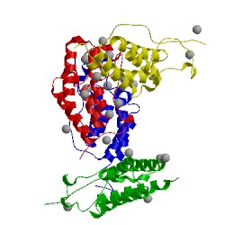 Image of CATH 5n15
