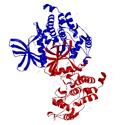 Image of CATH 5n1v