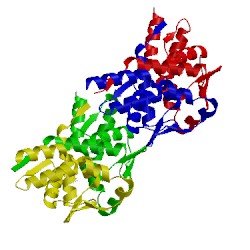 Image of CATH 5n1x