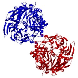 Image of CATH 5n4b