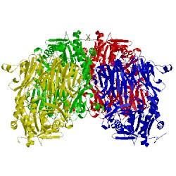 Image of CATH 5n4c