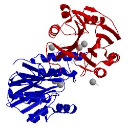 Image of CATH 5n4t