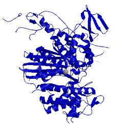 Image of CATH 5n6a