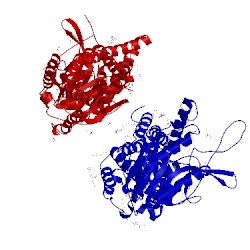 Image of CATH 5n6l