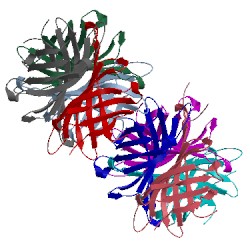 Image of CATH 5n7x