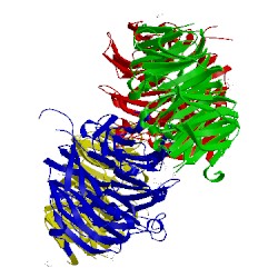 Image of CATH 5naf