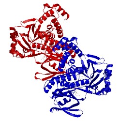 Image of CATH 5nah