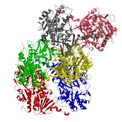 Image of CATH 5ncc