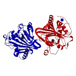 Image of CATH 5nci