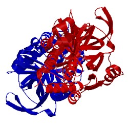Image of CATH 5ncs
