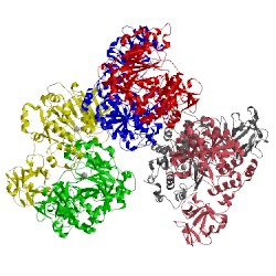 Image of CATH 5ndf