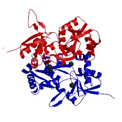 Image of CATH 5neb