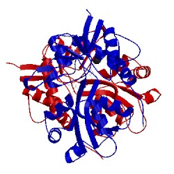 Image of CATH 5nf5