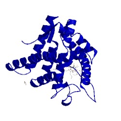 Image of CATH 5nfp